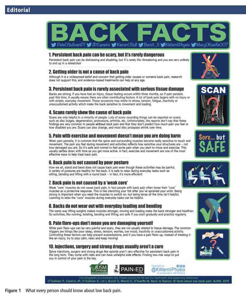 Back Facts goPhysio