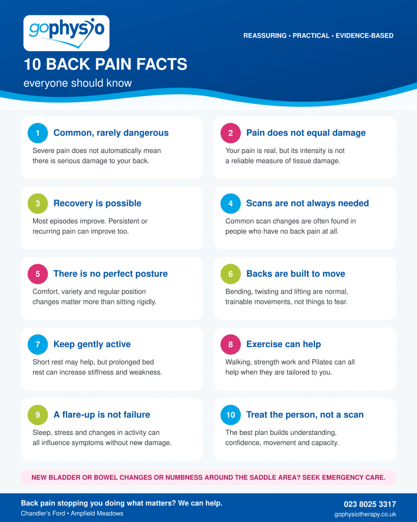 10 Back Pain Facts Everyone Should Know 2 goPhysio 10 Back Pain Facts