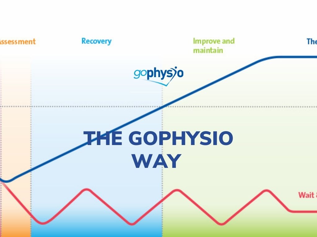 The goPhysio Way
