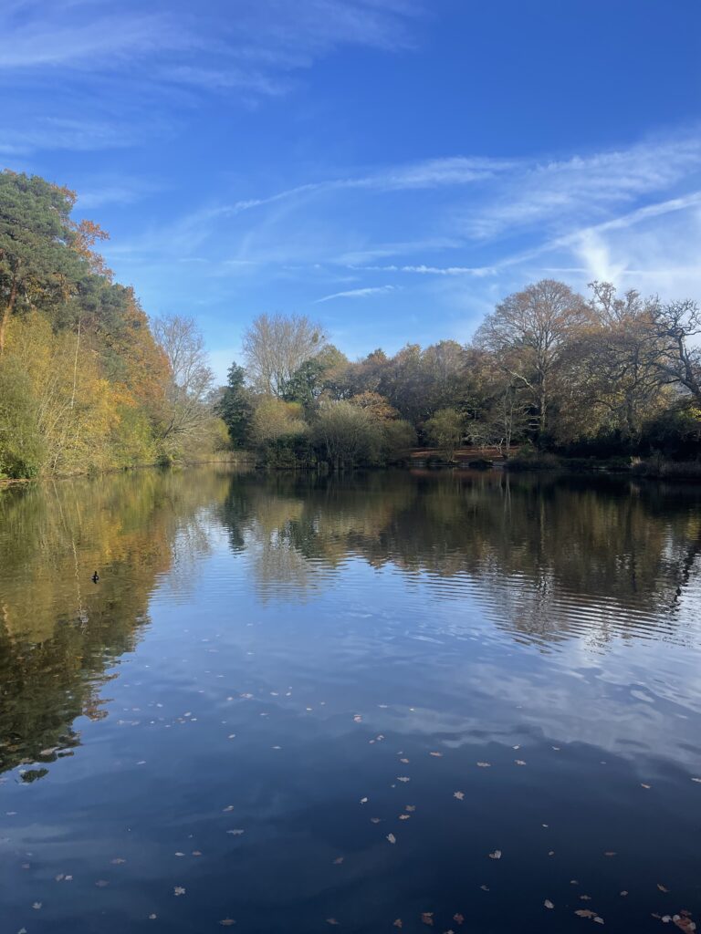 Chandlers Ford Walks