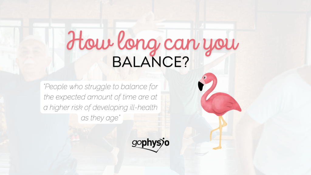 Flamingo Balance Challenge